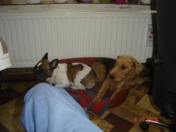 le_nouveau_bobby_20211126_1833443488